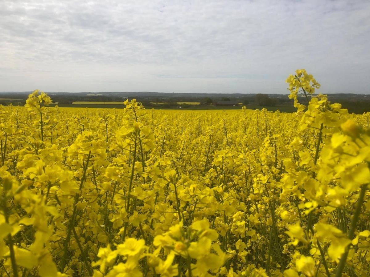 Rosloevs Gard Vackert Boende I En Naturskoen Miljoe. Flyinge Екстер'єр фото